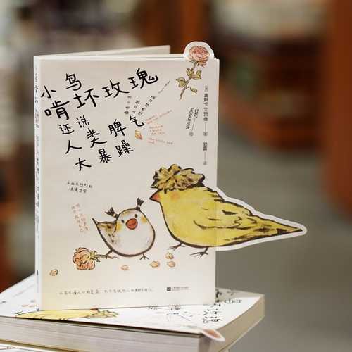 Xiao niao ken huai mei gui(Simplified Chinese)