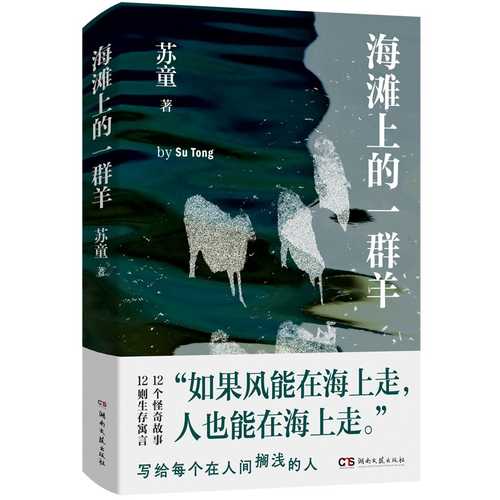 Hai tan shang de yi qun yang(Simplified Chinese)