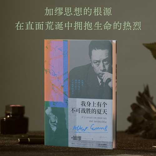 Wo shen shang you ge bu ke zhan sheng de xia tian (Simplified Chinese)